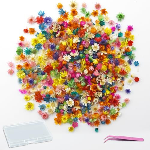 PXBSNB 420 Stück Mini Trockenblumen zum Basteln, Trockenblumen Klein, Natürliche Getrocknete Blumen, Bunte Getrocknete Blüten für Seife, Trockenblumen Deko für DIY Nagel Epoxid Kerze Scrapbooking