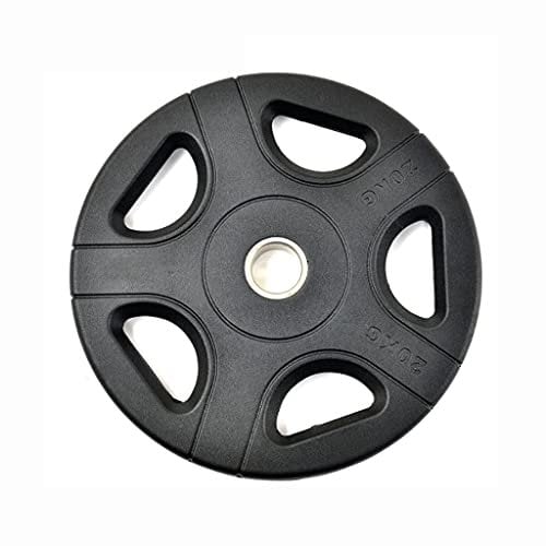 5.5lbs/11lbs/22lbs/33lbs/44lbs Weight Plates,5-Hole Grip Plates,cast Iron Barbell Plates,for Weight Lifting Training (Size : 20kg/44lbs*2)