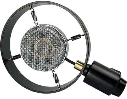 KASFDBMO Microfono professionale a condensatore Microfono Vintage Recorder Studio Microfono Per Live Radio Boardcasting Canto