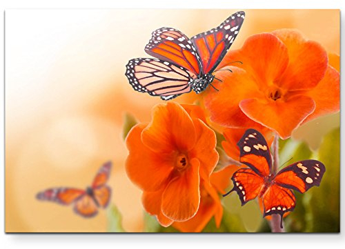 Paul Sinus Art Leinwandbilder | Bilder Leinwand 120x80cm orangene Blumen mit Schmetterlingen