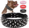 HimyBB Collar ajustable de piel sintética con remaches y tachuelas para gatos, cachorros, mascotas, color negro, pequeño