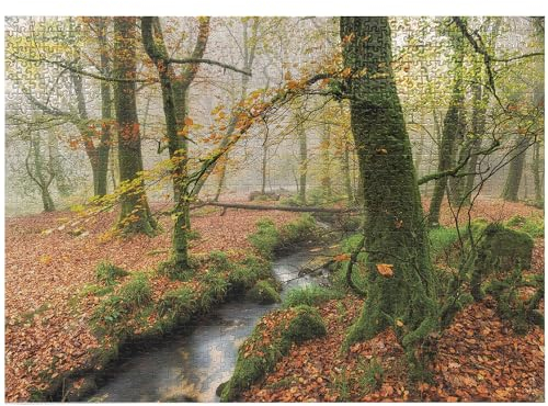 ABAKUHAUS Wald Puzzle, Misty Woods Cornwall, Heirloom-Qualität lustige Aktivität für die Familie langlebiger Karton, 1000 Stücke, Orange, Grün, Gelb