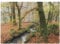 ABAKUHAUS Wald Puzzle, Misty Woods Cornwall, Heirloom-Qualität lustige Aktivität für die Familie langlebiger Karton, 1000 Stücke, Orange, Grün, Gelb