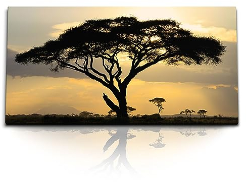 Paul Sinus Kunstdruck Bilder 120x60cm Afrikanische Landschaft Burkea Baum Sonnenuntergang