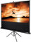 Lumene Arcadia 170 écran de Projection 169,9 cm (66.9) 16:9 - Écrans de Projection (169,9 cm (66.9), 16:9, Noir)
