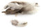 3g Hahnenkreuz Federn ca. 8-13cm (naturell) // Dekofedern Bastelfedern Federn Hahn Natur Schmuckfedern Vogelfedern Hahnenfedern