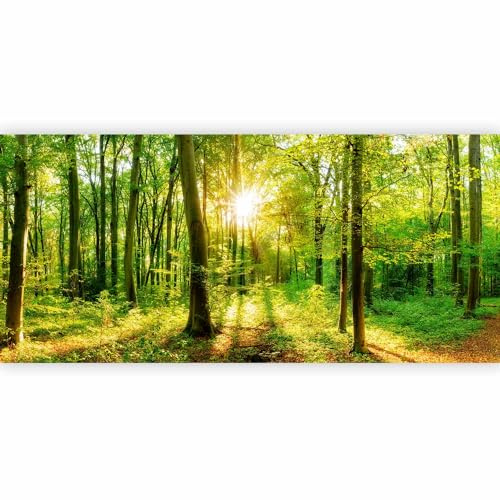 murando Fotomurales autoadhesivo Bosque 539x250 cm Papel de esquina Papel Pintado Decoración de Pared Murales Pegatina decorativos adhesivos 3d moderna de Diseno Paisaje Panorama b-B-0383-a-a