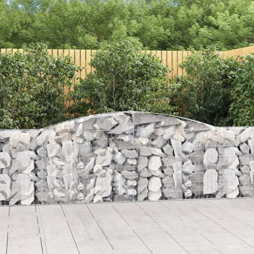 heybb Gabionen mit Hochbogen 2 Stk. 400x30x100/120cm Verzinktes Eisen WasserzapfsäUle Garten Pflanzsteine Beton Garten Stapelbar Gabionen Zaun Gabionen ZaunGabionen