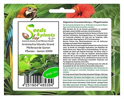 Stk - 10x Aristolochia littoralis Strand Pfeifenwinde Garten Pflanzen - Samen ID999 - Seeds & Plants Shop by Ipsa