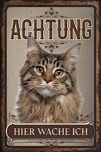 LUCKYLINDE – Wetterfestes Katzen Blechschild auch für den Außenbereich, Türschild, Hinweisschild, Warnschild: Achtung hier wache ich! - 20 x 30 cm (Maine Coon)
