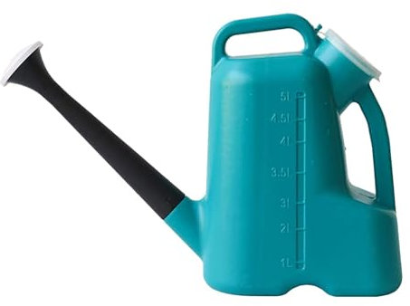 Arrosoir de jardin en plein air, 5 l, arrosoir de jardin avec douchette amovible, long bec avec couvercle, de jardin d'intérieur et extérieur, arrosoir pour jardin de terrasse