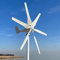 800W Windkraftanlagen 12V 24V 48V Windturbinen Windräder mit 6 Flügeln und kostenlosem MPPT Laderegler horizontale Windgenerator für Zuhause (12V mit Reglar)