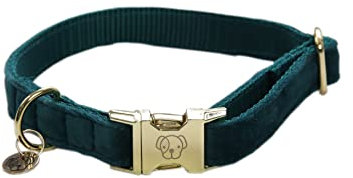 Kentucky Dogwear - Hundehalsband - Samt - Smaragd XS - 25-38cm