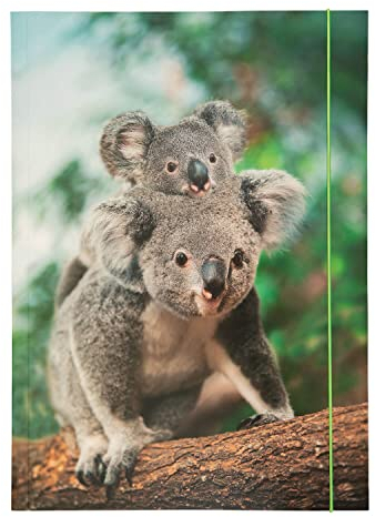NEU Sammelmappe mit Gummiband, A3, 1 Mappe, BASIC JUNGLE CUTIES/Koala