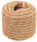 Juteseil (2,5 cm x 15,2 m), 25 mm dickes, gedrehtes Manila-Seil, natürliches robustes Hanfseil für Schaukelbett, Handwerk, Geländer, Tauziehen, Heimdekoration (15,2 m, 25 mm)