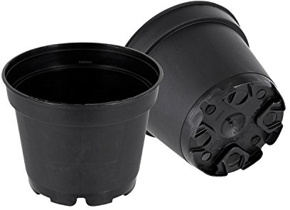 GREEN24 50 Runde Mini Pflanztöpfe Ø 6 cm Anzuchttöpfe Pflanztöpfe Blumentöpfe Saattöpfe runde Töpfe (50 Stück)