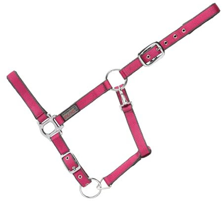 USG 15050007 Halfter, silberfarbene Beschläge, Soft unterlegt, Fuchsia/Grau, Warmblut