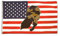 Flaggenfritze Fahne/Flagge USA Batman + gratis Sticker