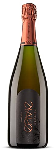 en vie Champagne | Rosé-Champagner aus nachhaltigem Anbau, vegan, trocken, brut, fuchtig (1x 0,75l Flasche)
