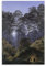 JILIP Poster, Moonlight von Caspar David Friedrich, Motiv: Wald Interior von Moonlight