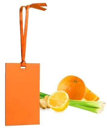 Avilia Carta Profumata Deodorante per Cassetti e Armadi Fraganza Fresca agli Agrumi - Ideale per Mantenere Abiti Profumati e Freschi o per Ambienti Come Bagno e Auto - Durata 4/5 Settimane