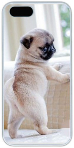 iPhone 4 4S Cases Hard Shell White Cover Skin Cases, iPhone 4 4S Case Cute Pug