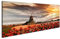islandburner Bild Bilder auf Leinwand Traditionelle niederländische Windmühlen mit roten Tulpen in Zaanse Schans, Amsterdam-Bereich, Holland Wandbild, Poster, Leinwandbild KMR