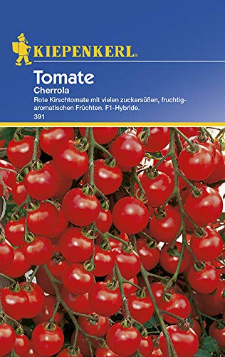 Kiepenkerl 391 Tomate Cherrola F1 (Tomatensamen)