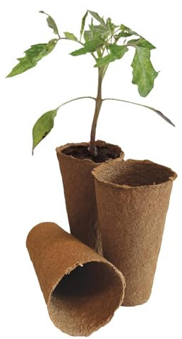 Garland Fasertöpfe, rund, 5 cm, biologisch abbaubar, Tom-Töpfe für Zuhause oder Gewächshaus, 12 Stück