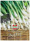 83682 Sperli Premium Lauchzwiebel Samen Freddy | Mild | Würzig | Aromatisch | Lauchzwiebel Saatgut | Lauch Samen