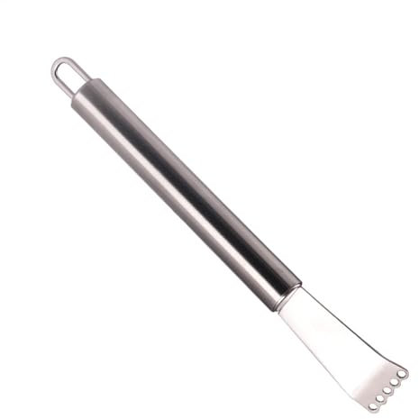 jamgeery Zesteur de citron vert en acier inoxydable | Ustensiles de cuisine ergonomiques, râpe à citron durable pour agrumes, cuisine, maison