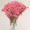 Lohill Trockenblumen 100 Stück Getrocknete Blumen Klein Baby’s Breath Blumen Echte Natur, Weiß, für DIY Kerze Harz Schmuck Nagel Kunst Basteln, Gypsophila, Babysbreath
