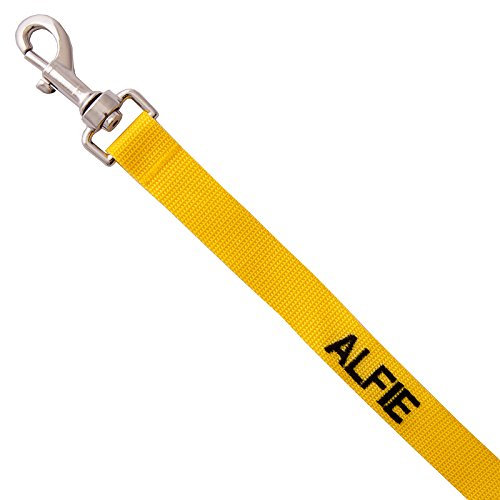personalised dog lead (4 foot long, yellow)