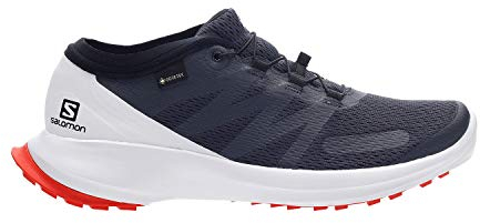 Salomon Herren Shoes Sense Flow GTX Laufschuhe, Mehrfarbig (Tusche/Weiß/Kirschtomate)