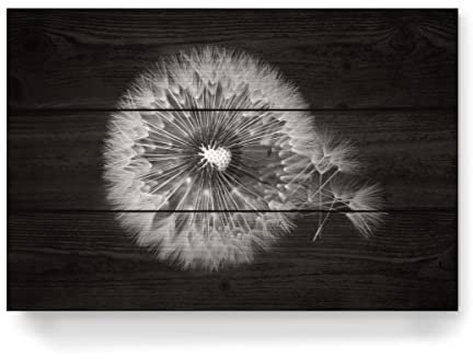 artboxONE Holzbild 45x30 cm Natur Pusteblume Detail schwarz-weiß von Künstler Wundertüte