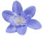Whakano 20x Künstliche Blumen Orchidee,8cm Seidenblume Köpfe KunstOrchidee,Kunstblumen Orchidee,Künstlich Blumenkopf Deko-Blüten Orchideeblumen für Thanksgiving Party Tischdeko DIY Kleidung Deko,Blau