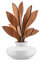 Alessi The Five Season MW64 2S W - Diffusore a Foglie per Ambiente in Porcellana, Foglie in Legno di Mogano, Bianco