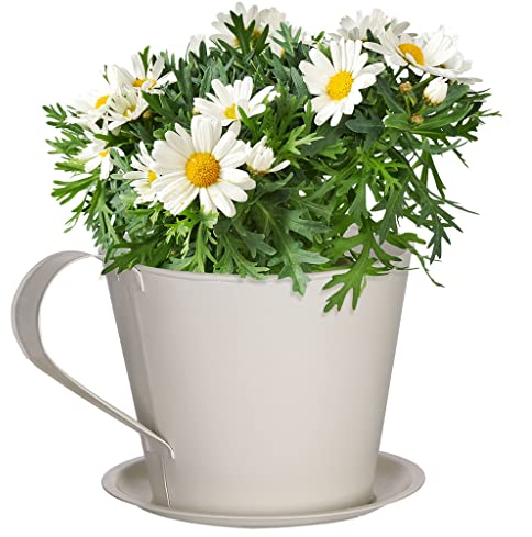 Dibor Tea Cup Plant Pot Novelty Teacup & Saucer Garden Planter Flower Herb Pot with Drainage Hole 2L Outdoor Flowerpot (Ivory White)