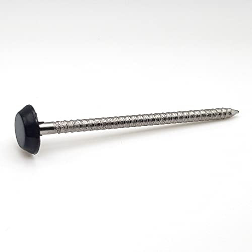 Pointes pour rive tête RAL 9005 noir foncé Inox A4 pour rive 50 mm par 100