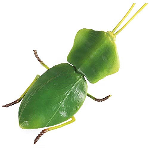 Hrippy Miniaturinsektenspielzeug Und Gefälschte Fehler, Mini -Insekten -Spielzeug -Figuren, Plastik 3D -insektenmodell Baby Kinder Bildungsspielzeugfotografie -Requisiten