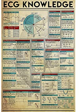 Bioputty ECG Knowledgees Schild, 30,5 x 20,3 cm, Vintage-Poster, Wanddekoration, Kunst, Geschenk, Retro-Bild, Metallschild