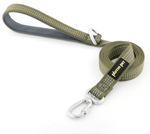 Plutus Pet Heavy Duty Dog Lead with Lockable Aluminum Carabiner, 1.2m Long | Double-Sided Reflective Nylon, Padded Handle, Heavy Duty, for Puppy Small Medium and Large Dogs (Ranger Green, 2.0 x 120cm)