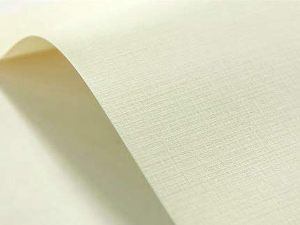 Netuno 20x Strukturkarton Creme Karomuster DIN A4 21 x 29,7 cm 246g Elfenbeinkarton Chamois Prägekarton Bastelkarton strukturiert für Visitenkarten Einladungen Hochzeit Geburtstag