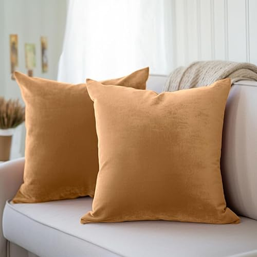 Encasa Homes Kissenbezüge aus Samt - 2er-Set (45x45 cm) - Gold- Uni gefärbt, weich & glatt, waschbar, quadratisch, großer Wurfkissenbezug für Couch, Sofa, Stuhl, Bett und Wohnbereich