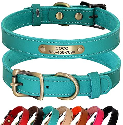 PET ARTIST Collar de Perro Personalizado de Cuero Genuino - Ligero y Suave, 7 Hermosos Colores, Durable para Cachorro y Perros Pequeños, Verde S