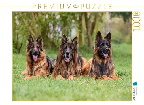 CALVENDO Puzzle Langstockhaar - Schäferhunde Trio | 1000 Teile Lege-Größe 64 x 48 cm Foto-Puzzle für glückliche Stunden
