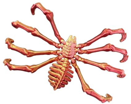 Genérico Spinnenspielzeug, bedruckt, Spinnen-Fidget-Druck, abnehmbare Gelenke, Wolf Spider Toys, Stressabbau-Spielzeug, Halloween-Dekoration für zu Hause