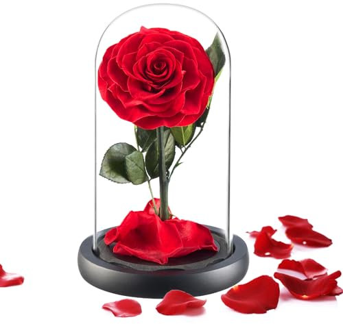 puto Preserved Real Rose Eternal Rose in Glass Dome Gift for Her Thanksgiving Christmas Valentine's Day Birthday Mother's Day (Red)