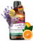 NORDHOLZ® Saunaaufguss [54 Sorten 15ml, 100ml, 250ml] - Sauna Aufgussmittel für intensive & erholsame - Sauna Zubehör (#54 Wohlfühlzauber, 100ml)