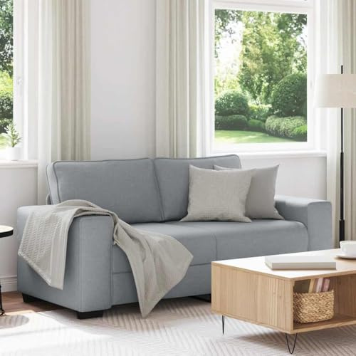 ROMHZKS 2-Sitzer Sofa Polyester Wohnzimmer Sessel mit Armlehnen, Bequemes Lesesofa für Büro und Gästezimmer, Robustes Holz Metall Gestell, Atmungsaktives Polster Sitzgruppe